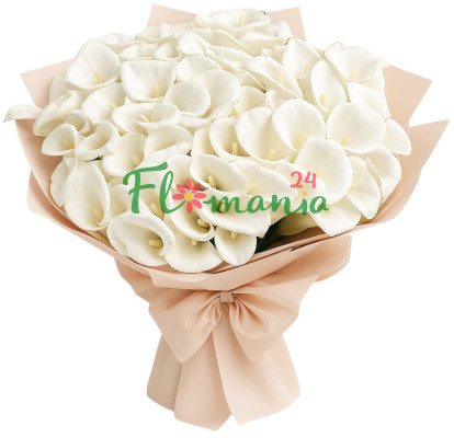 51 белая калла